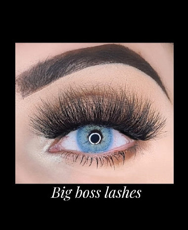 Big Boss 3 Pairs Vegan Eyelashes - MuaShamaila