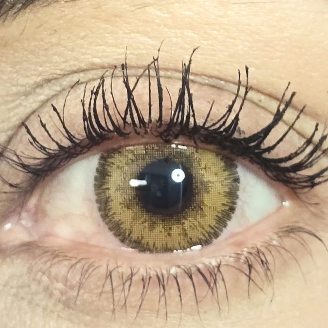 Autumn Glow cosmetic coloured contact lens worn on the eye (zero power)