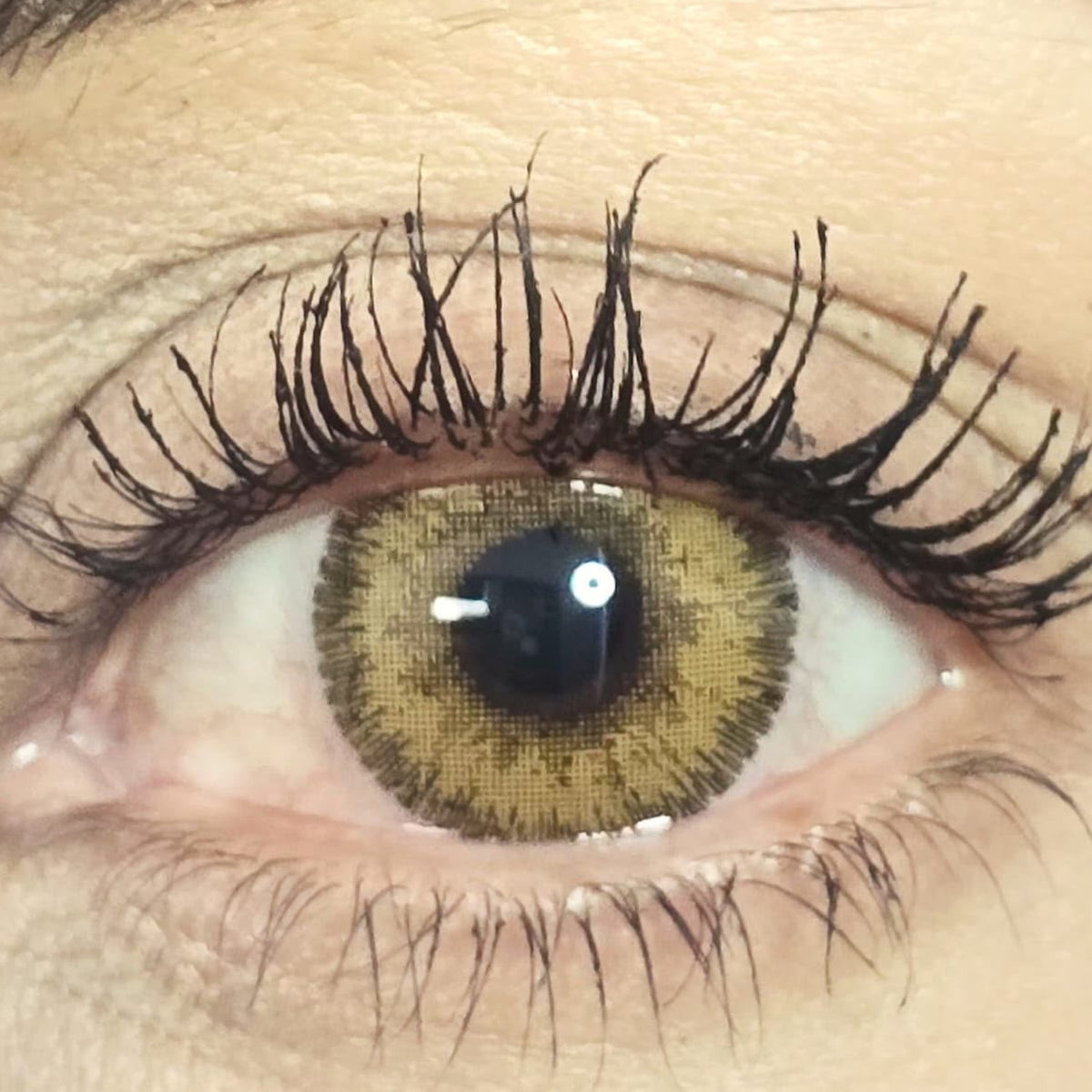 Autumn Glow cosmetic coloured contact lens worn on the eye (zero power)