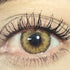Autumn Glow cosmetic coloured contact lens worn on the eye (zero power)