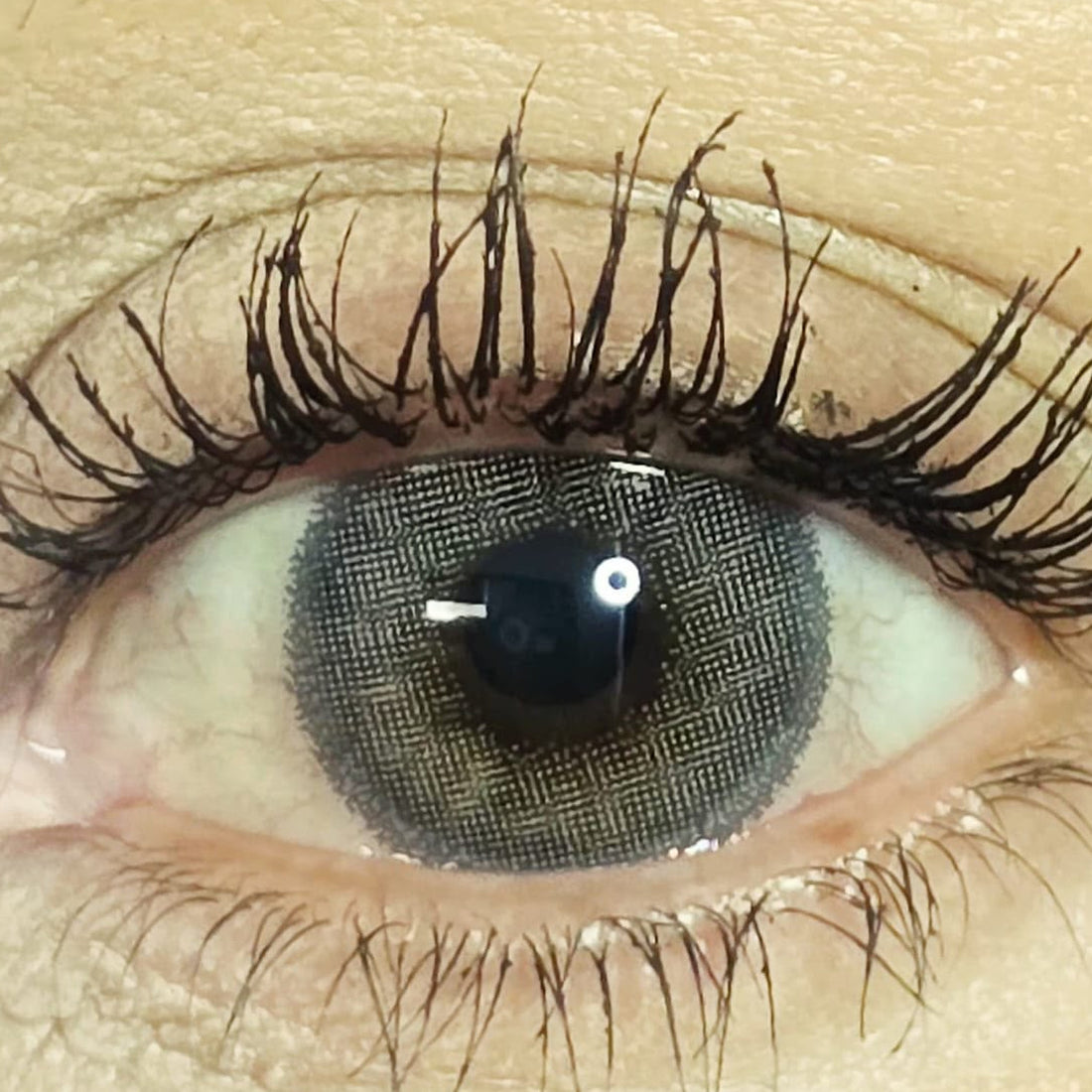 Cool Gray cosmetic coloured contact lens worn on the eye (zero power)