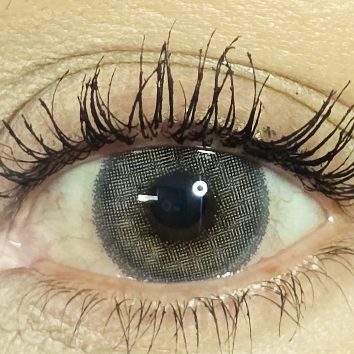 Cool Gray cosmetic coloured contact lens worn on the eye (zero power)