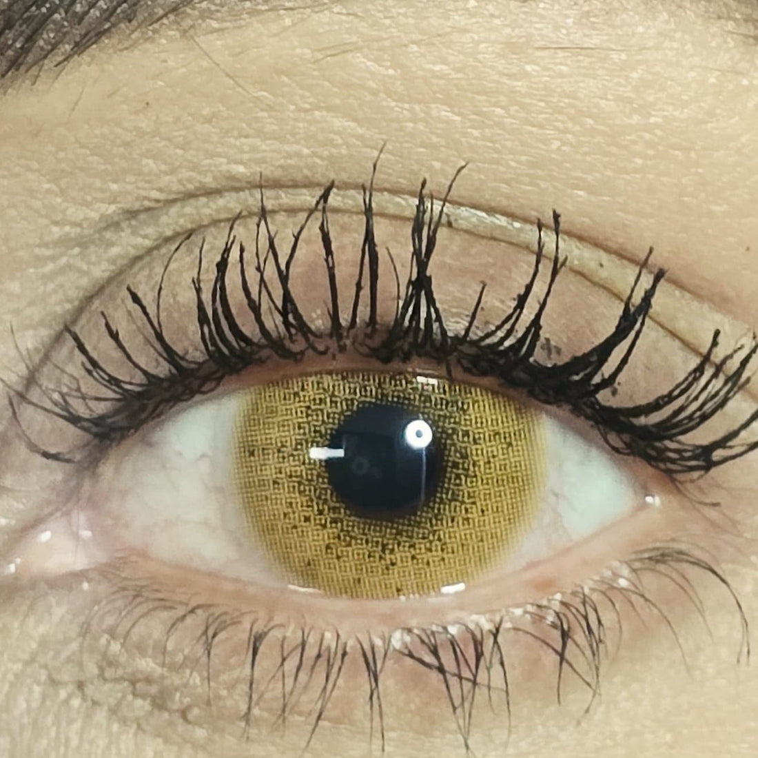Golden Honey cosmetic coloured contact lens worn on the eye (zero power)