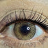 Hazel cosmetic coloured contact lens worn on the eye (zero power)