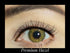Premium Hazel Cosmetic YEARLY Coloured Contact Lenses — worn on eye