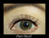 Pure Hazel Cosmetic YEARLY Coloured Contact Lenses