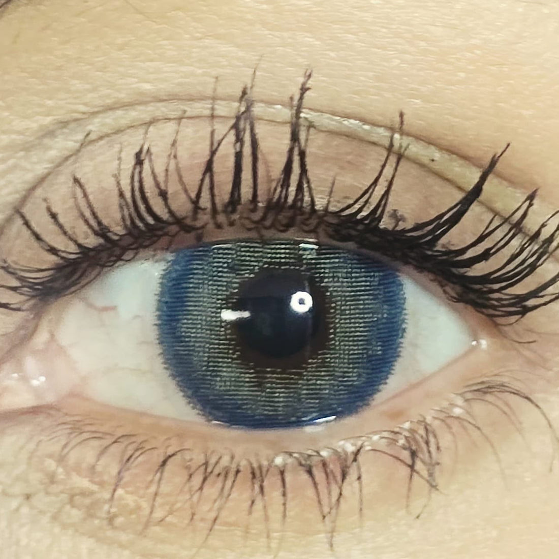 Royal Sapphire cosmetic coloured contact lens worn on the eye (zero power)