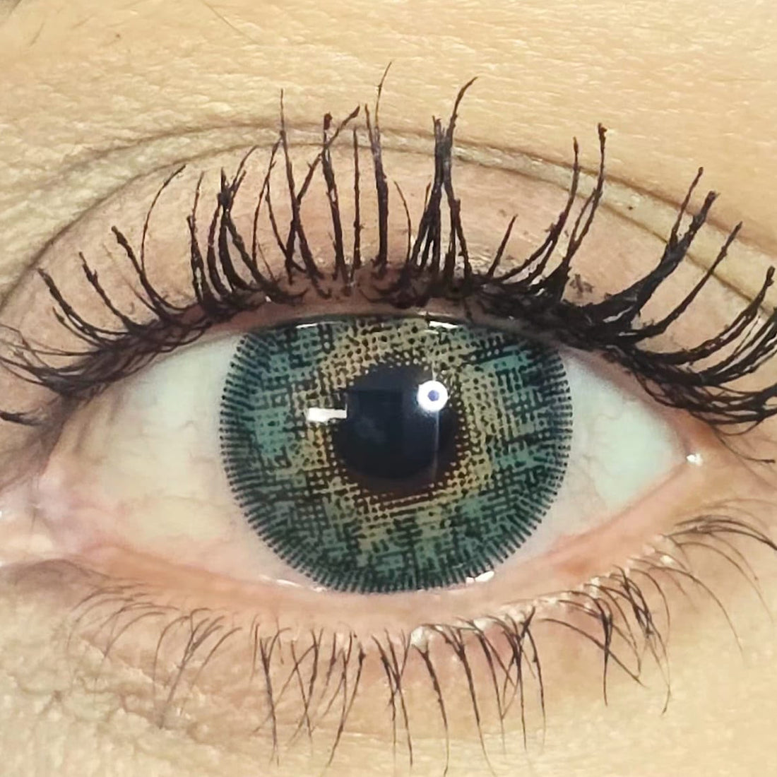 Spring Leaf cosmetic coloured contact lens worn on the eye (zero power)