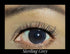 Sterling Gray YEARLY Cosmetic Coloured Contact Lenses — worn on eye