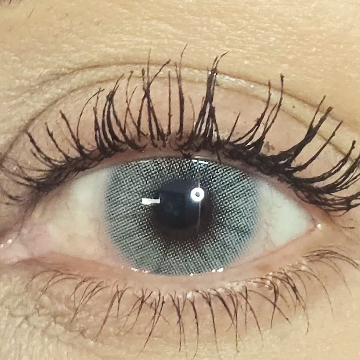 Wild Grove cosmetic coloured contact lens worn on the eye (zero power)