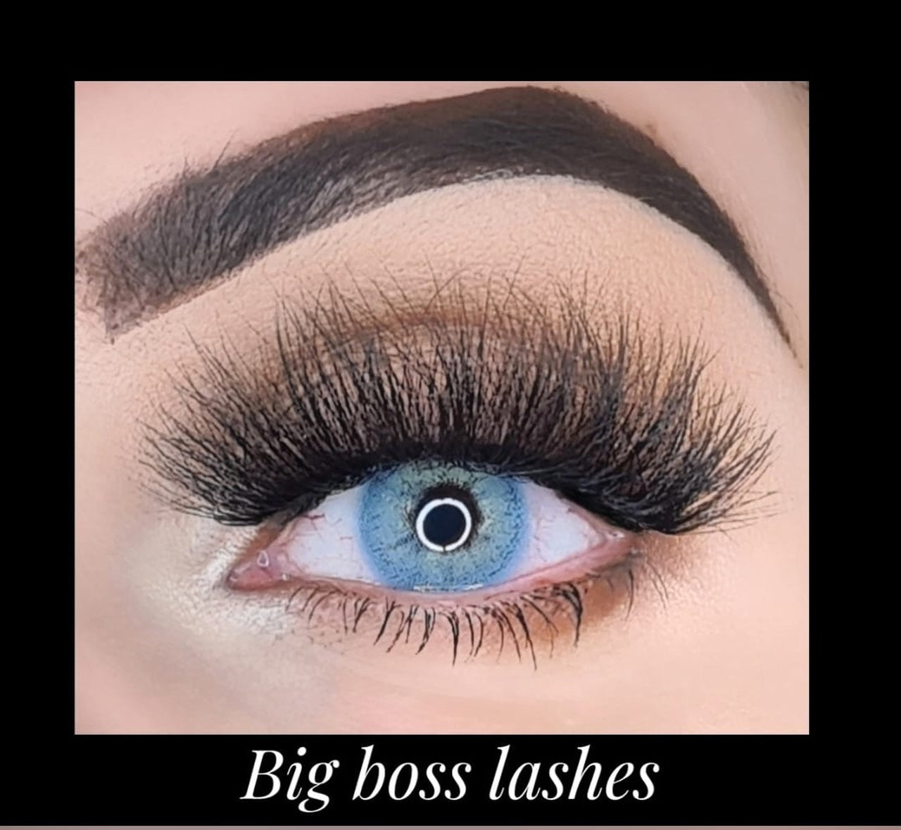 Big Boss 3 Pairs Vegan Eyelashes All Vegan Mink Eyelashes ,best vegan magnetic lashes ,best vegan lashes ,vegan false lashes ,vegan fake eyelashes ,vegan magnetic lashes, vegan magnetic eyelashes, false eyelashes vegan ,Vegan Eyelashes ,vegan eye lashes